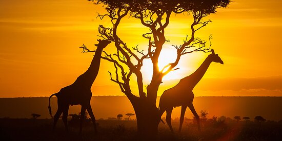 África do Sul